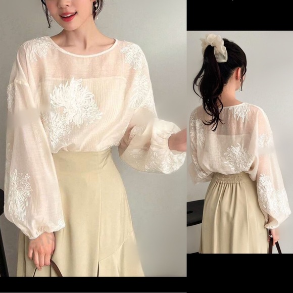 Embroidered floral print semi sheer puff sleeve blouse - Picture 2 of 5